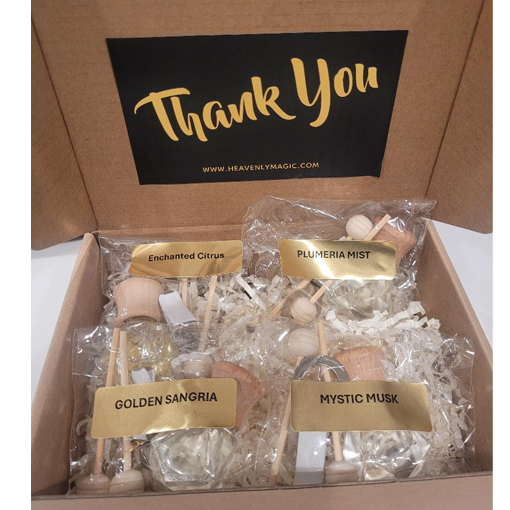 Car Diffuser Sample Kit